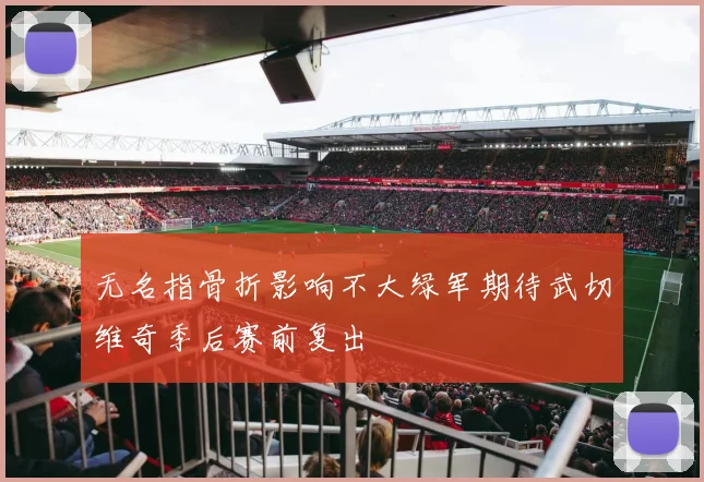 无名指骨折影响不大绿军期待武切维奇季后赛前复出